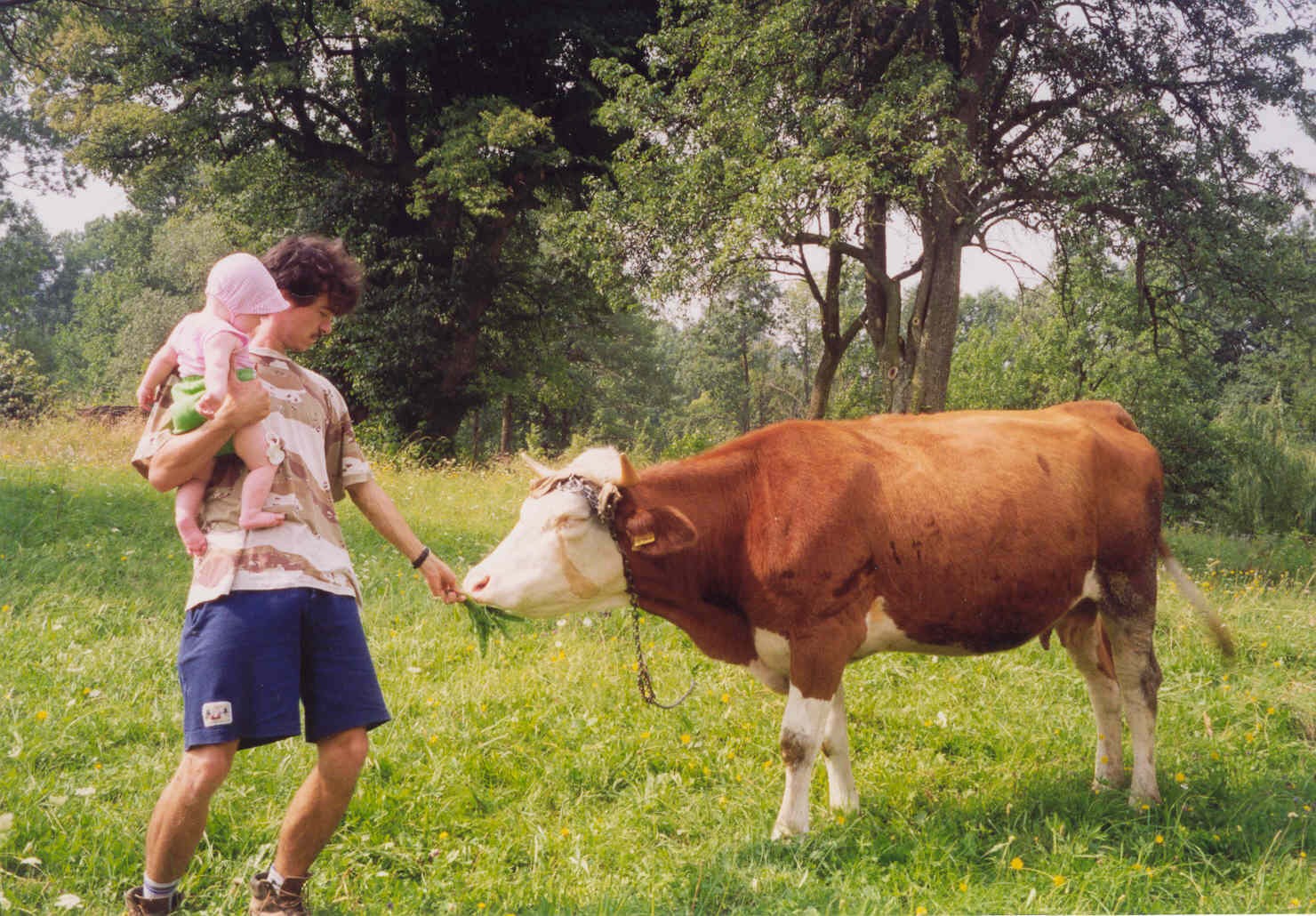 Turistika - Bl Karpaty